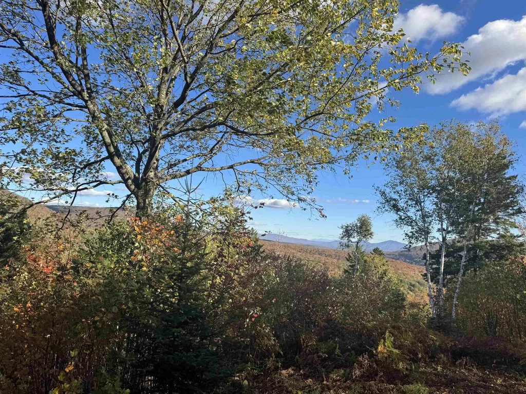 915 Wheeler Mountain Road Barton VT 05822