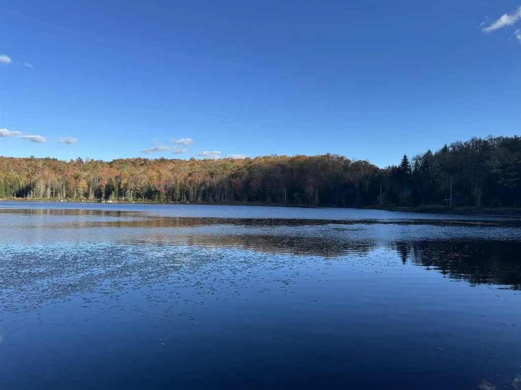 915 Wheeler Mountain Road Barton VT 05822