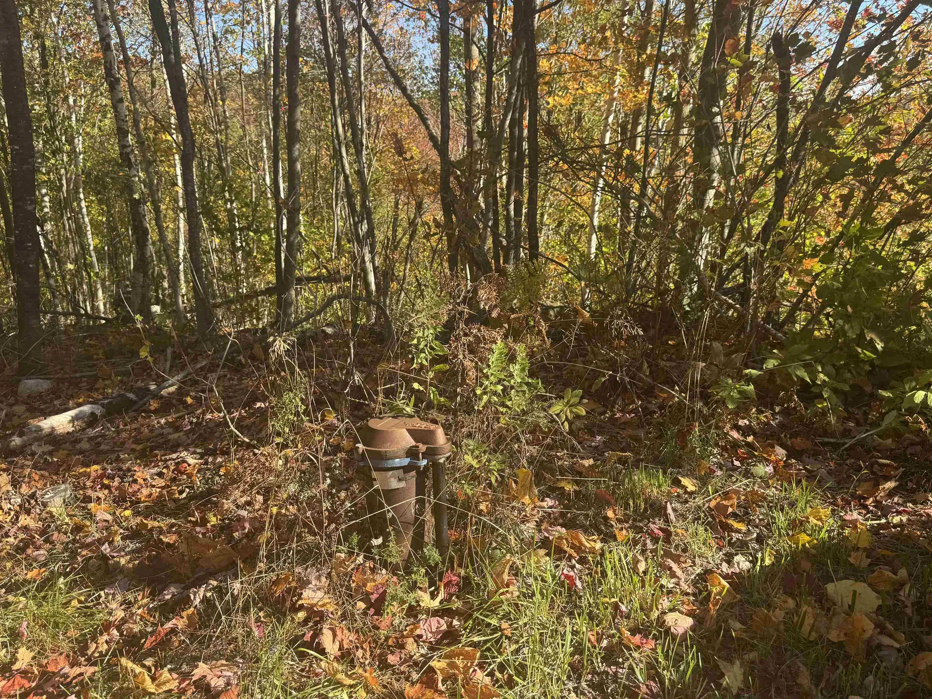 915 Wheeler Mountain Road Barton VT 05822