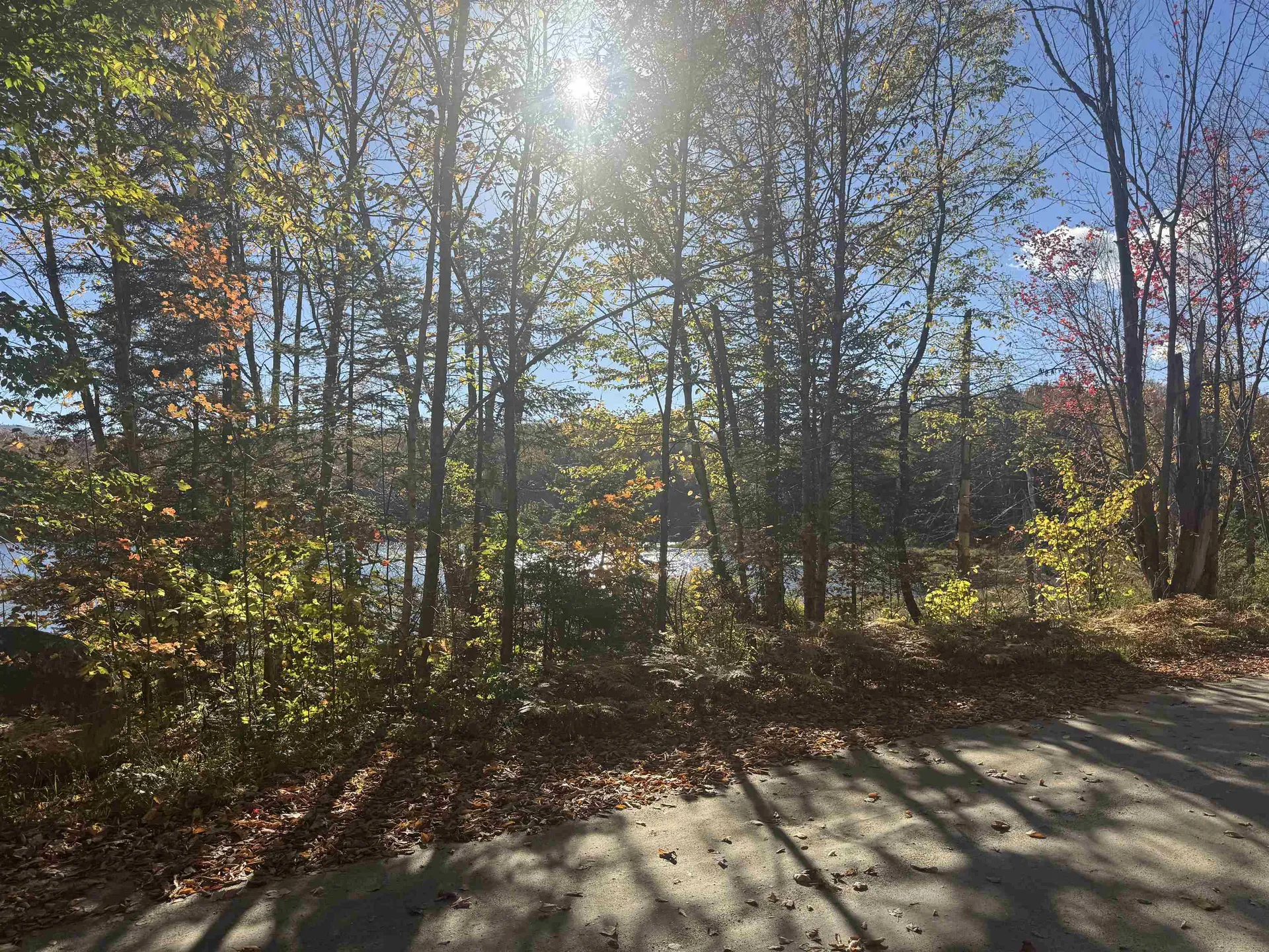 915 Wheeler Mountain Road Barton VT 05822