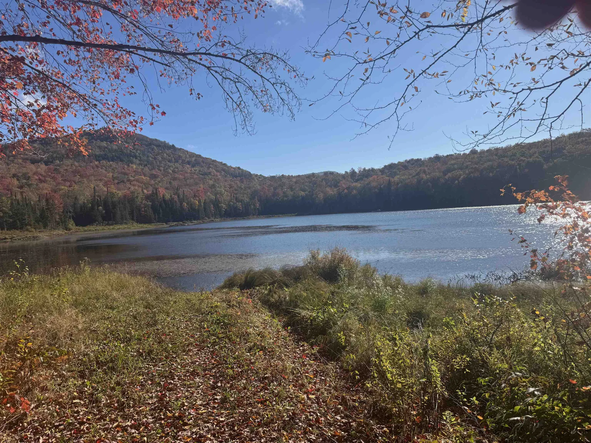 915 Wheeler Mountain Road Barton VT 05822