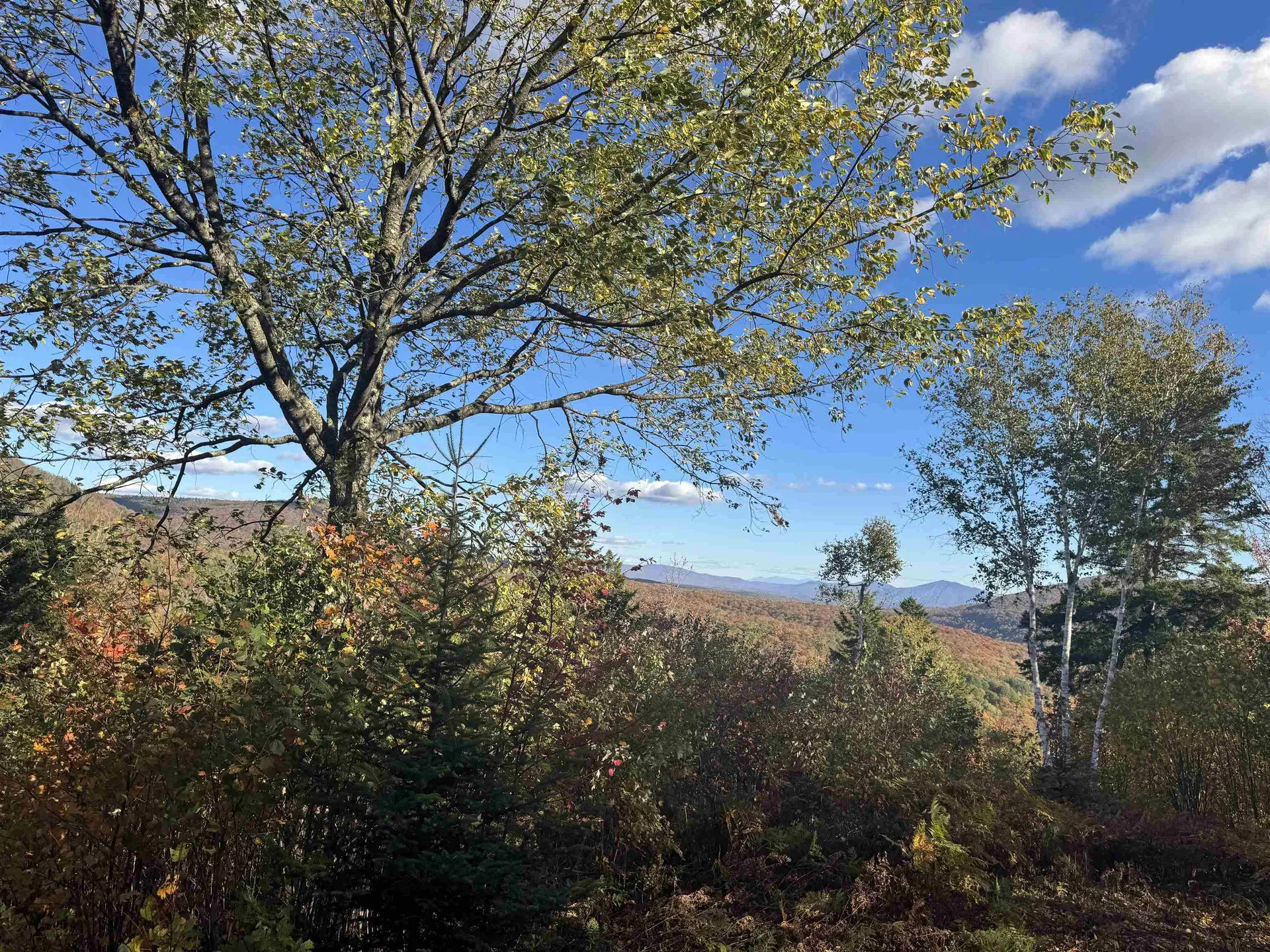 915 Wheeler Mountain Road Barton VT 05822