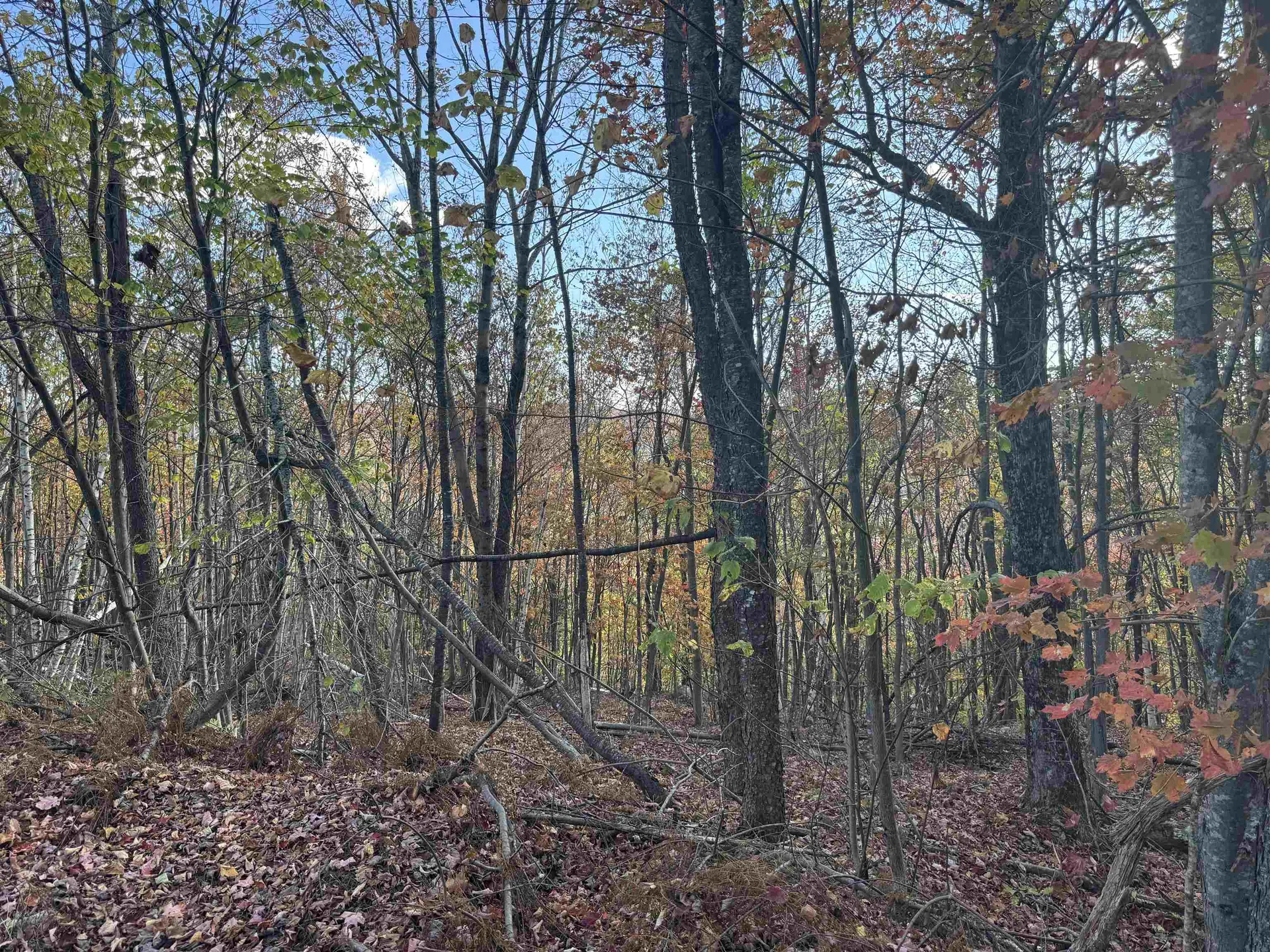 915 Wheeler Mountain Road Barton VT 05822