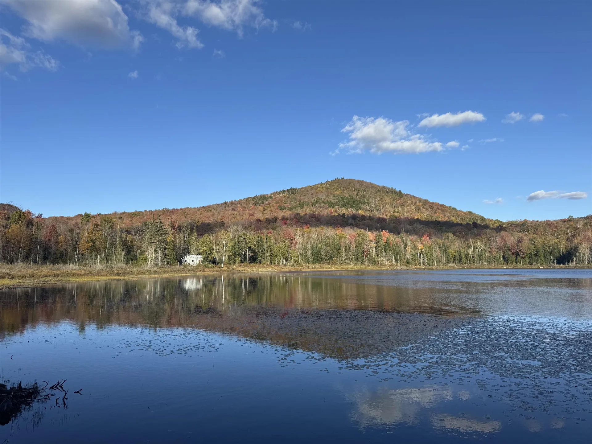 915 Wheeler Mountain Road Barton VT 05822