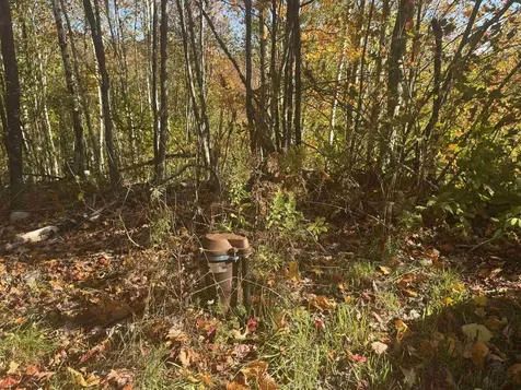 915 Wheeler Mountain Road Barton VT 05822