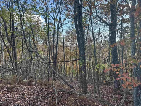 915 Wheeler Mountain Road Barton VT 05822