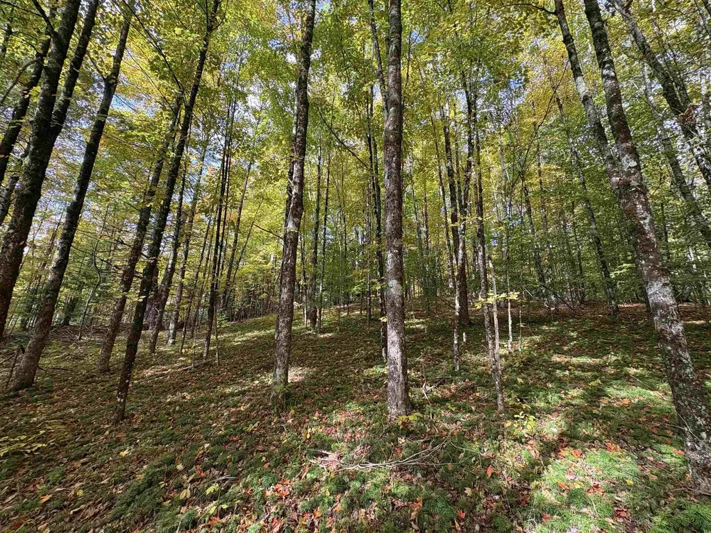 173 Dereks Way Lyndon VT 05851