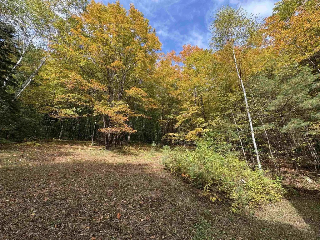 173 Dereks Way Lyndon VT 05851