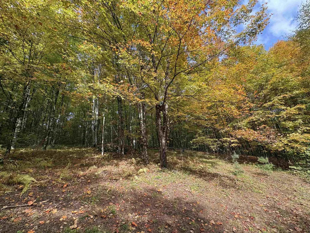 173 Dereks Way Lyndon VT 05851