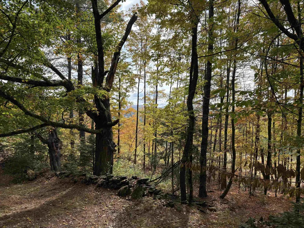 173 Dereks Way Lyndon VT 05851