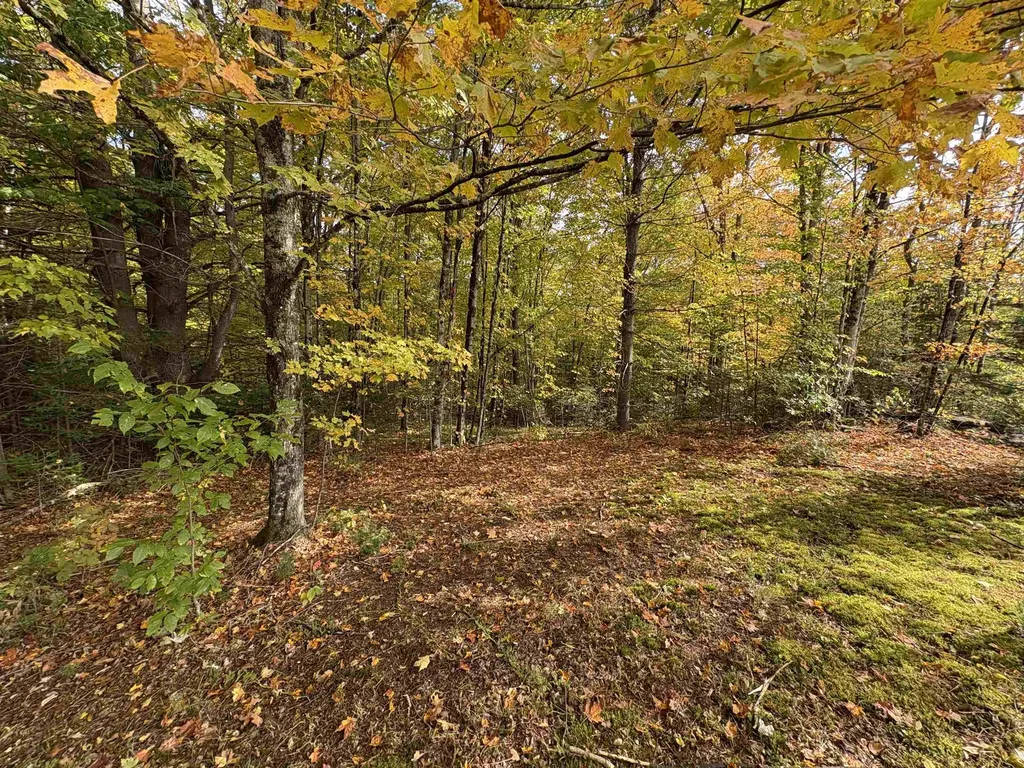 173 Dereks Way Lyndon VT 05851