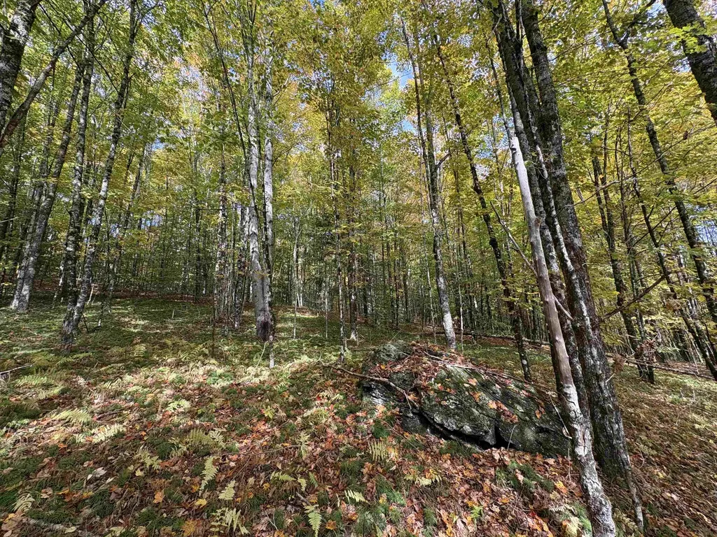 173 Dereks Way Lyndon VT 05851