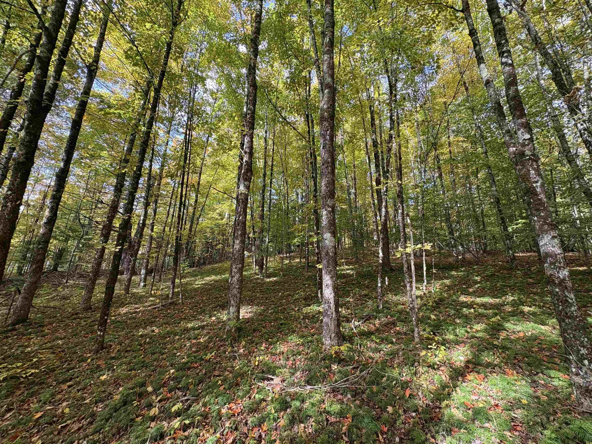 173 Dereks Way Lyndon VT 05851