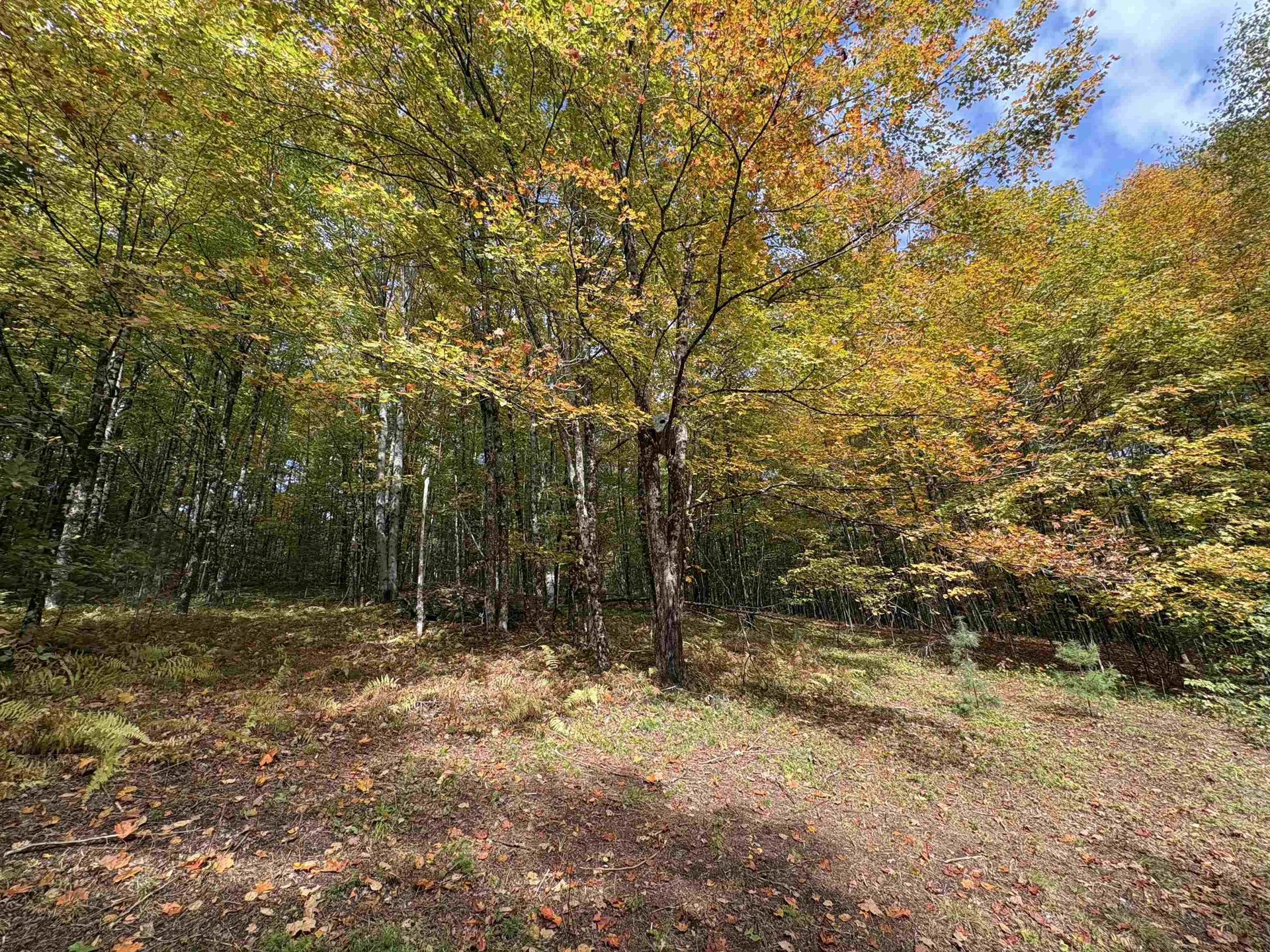 173 Dereks Way Lyndon VT 05851