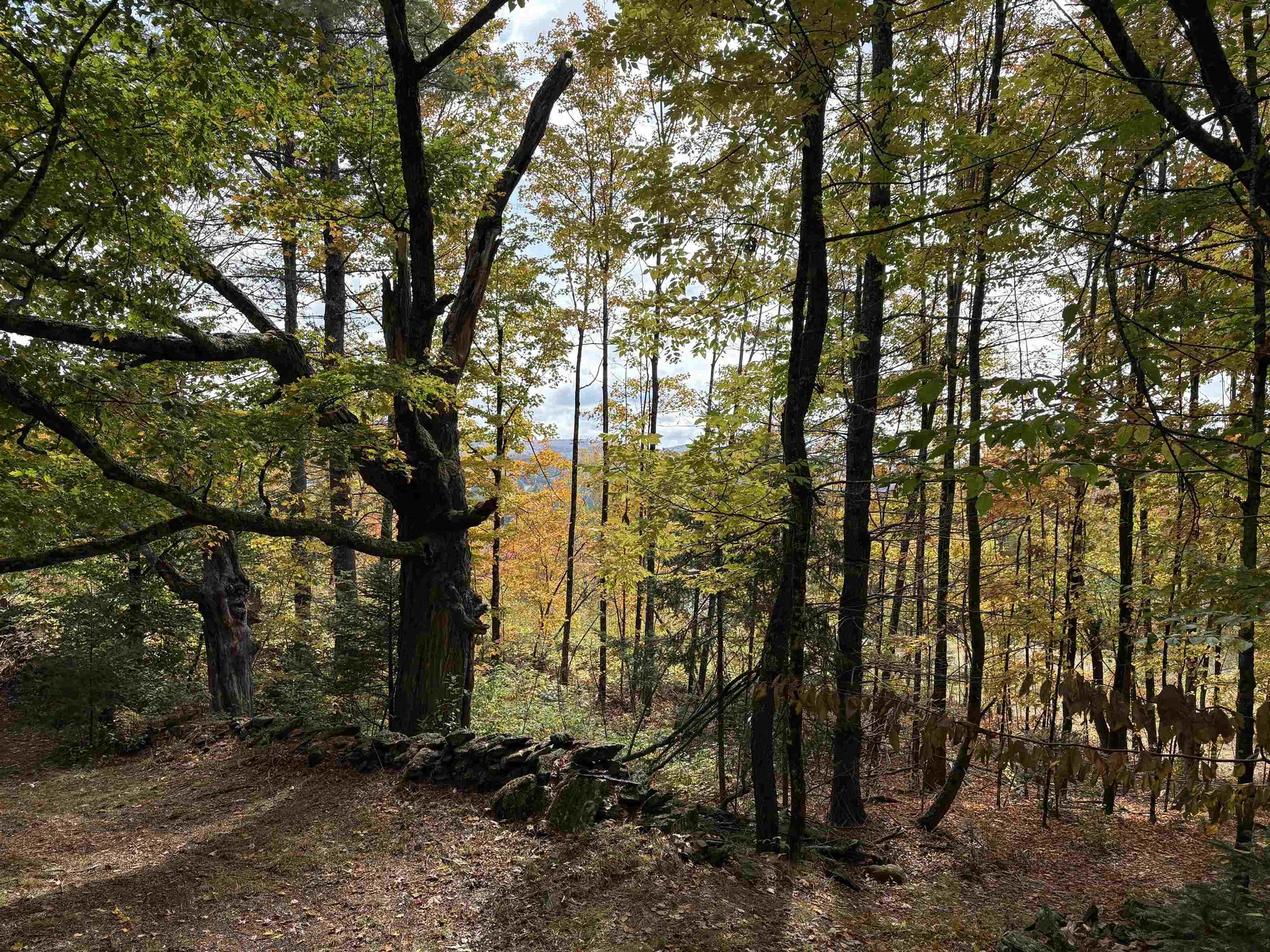 173 Dereks Way Lyndon VT 05851