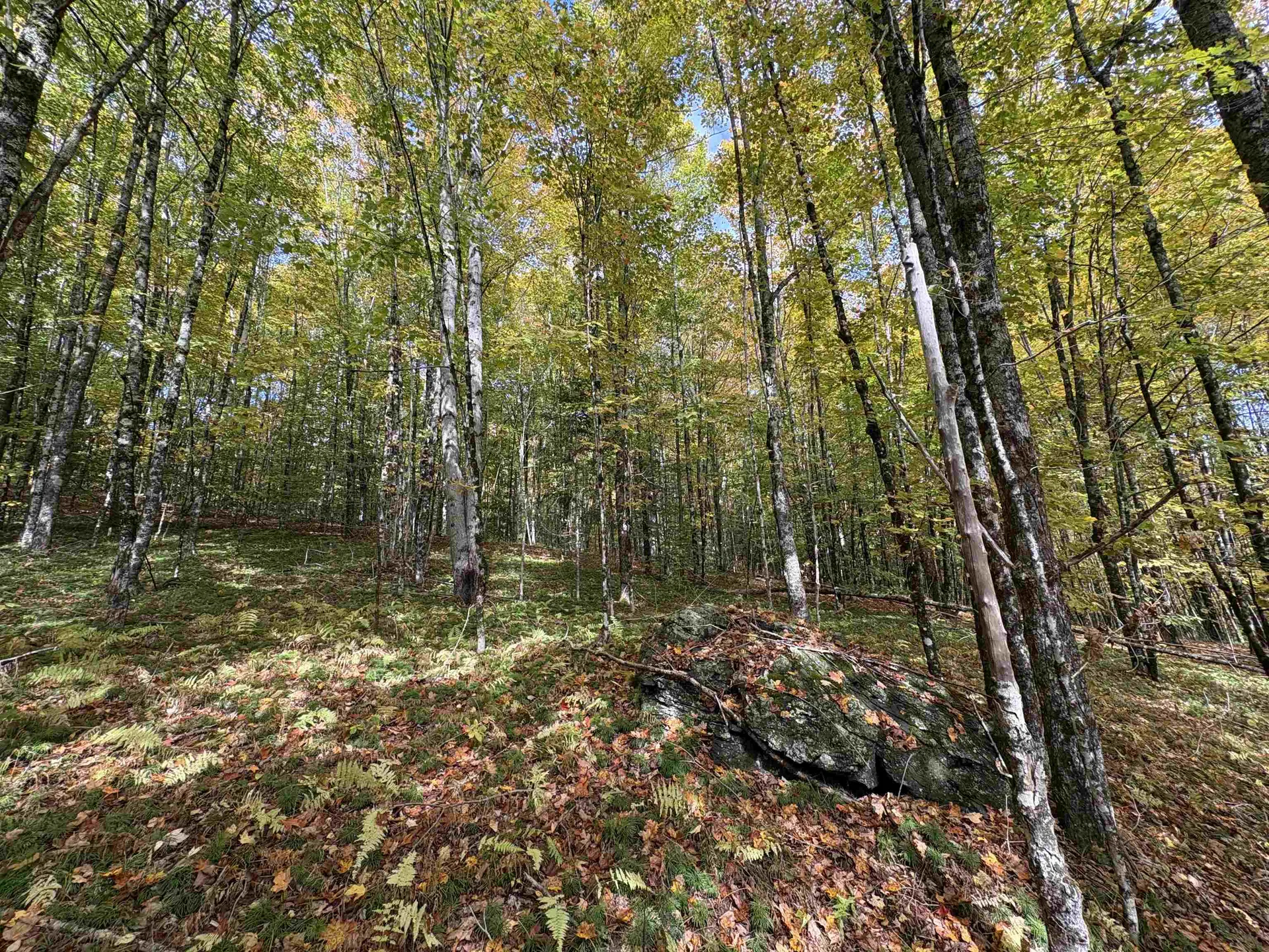 173 Dereks Way Lyndon VT 05851