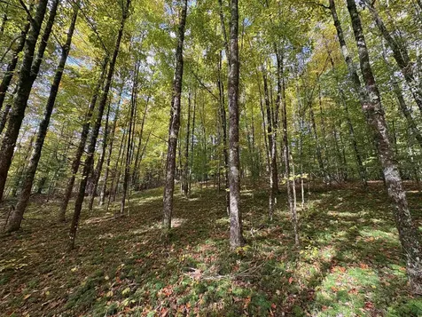 173 Dereks Way Lyndon VT 05851