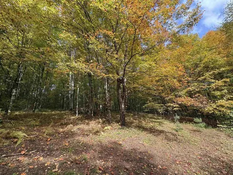 173 Dereks Way Lyndon VT 05851