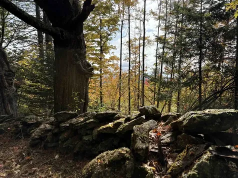 173 Dereks Way Lyndon VT 05851