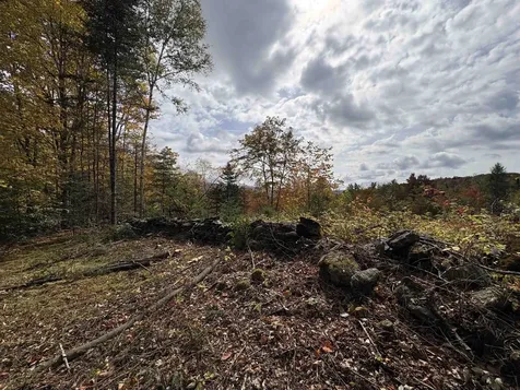 173 Dereks Way Lyndon VT 05851