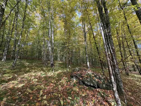 173 Dereks Way Lyndon VT 05851