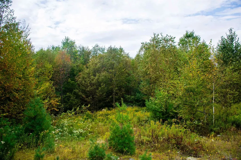 264 Olds Road Lempster NH 03605