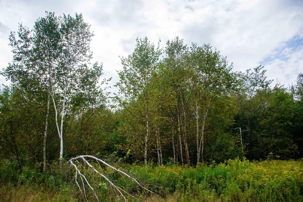 264 Olds Road Lempster NH 03605