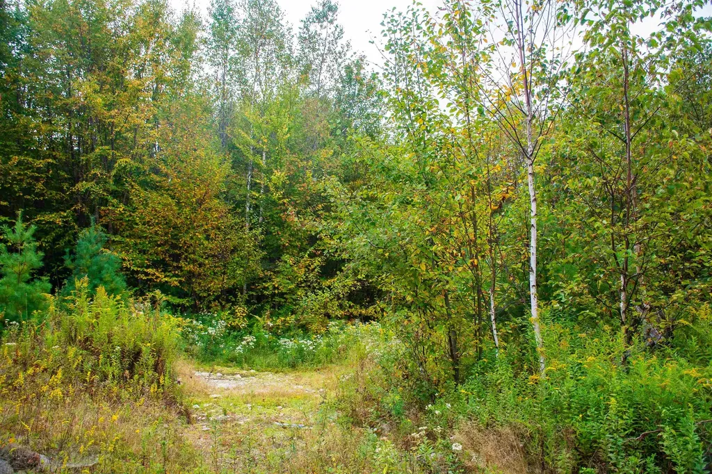 264 Olds Road Lempster NH 03605