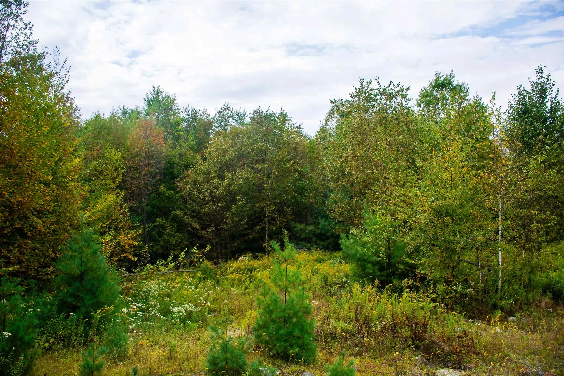 264 Olds Road Lempster NH 03605