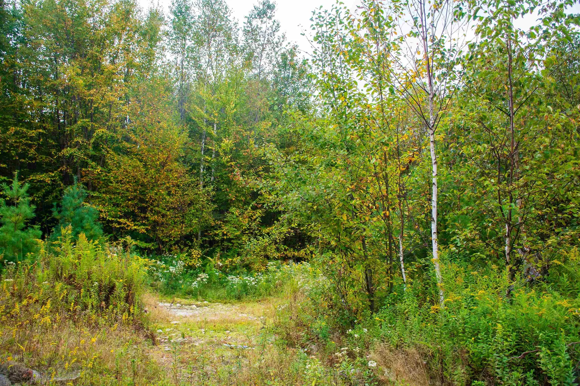 264 Olds Road Lempster NH 03605