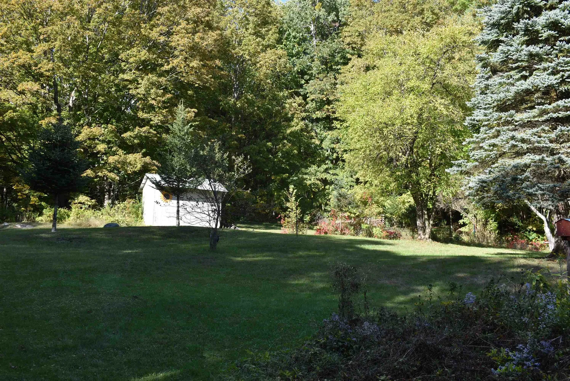 194 Wood Lane Brandon VT 05733