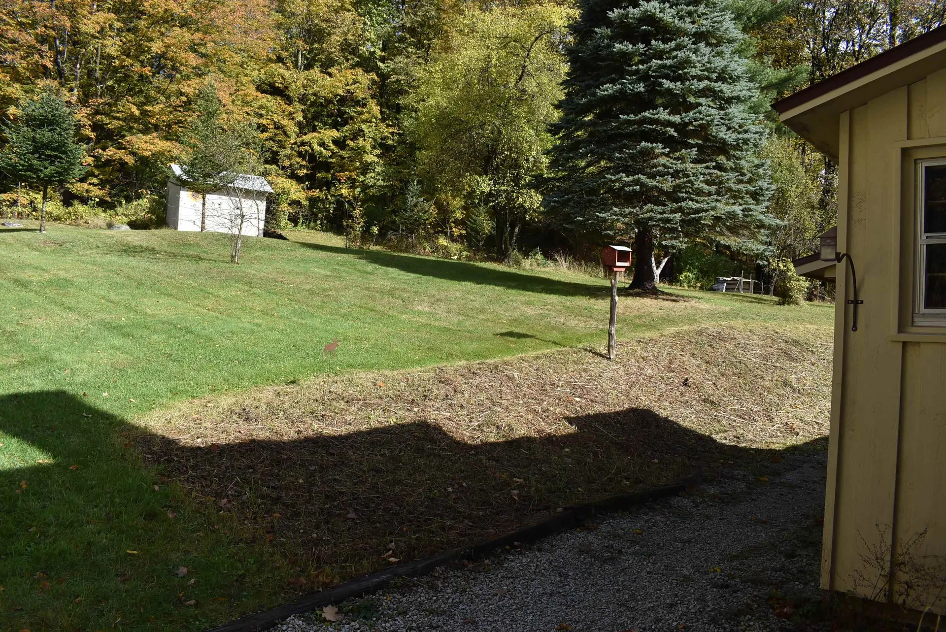 194 Wood Lane Brandon VT 05733