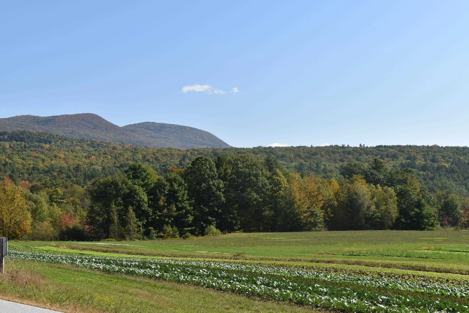 194 Wood Lane Brandon VT 05733