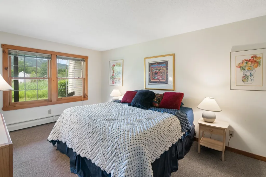 38B Greensprings Road Dover VT 05356