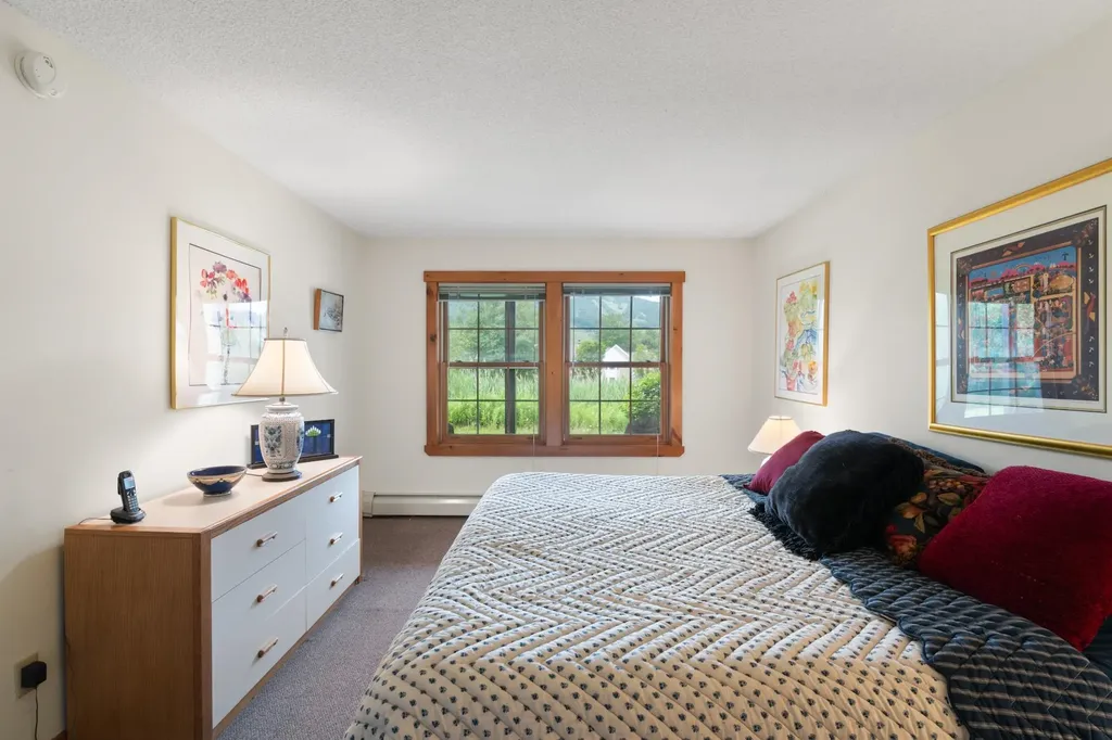 38B Greensprings Road Dover VT 05356