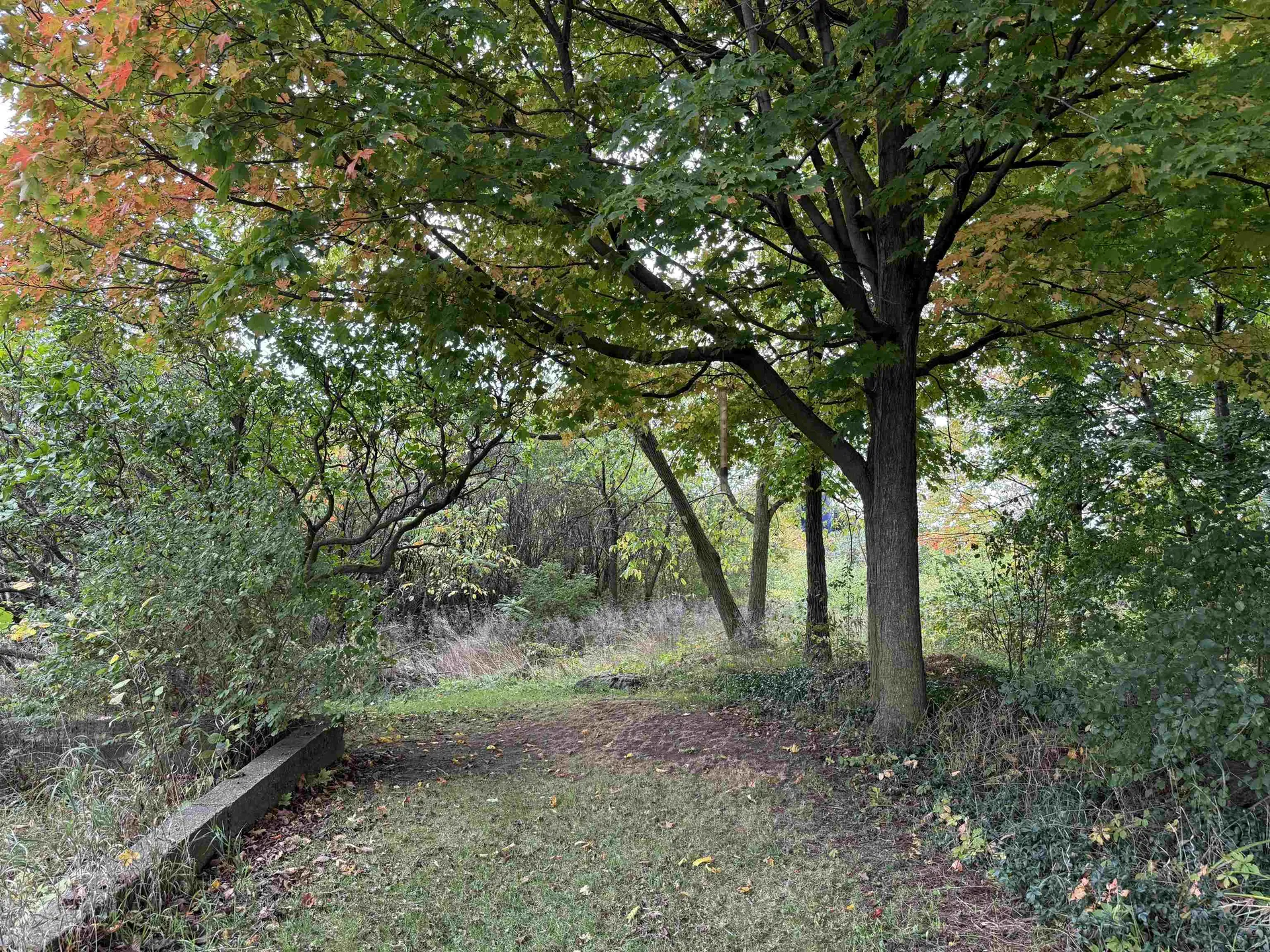 2852 Vermont Route 22a Addison VT 05491