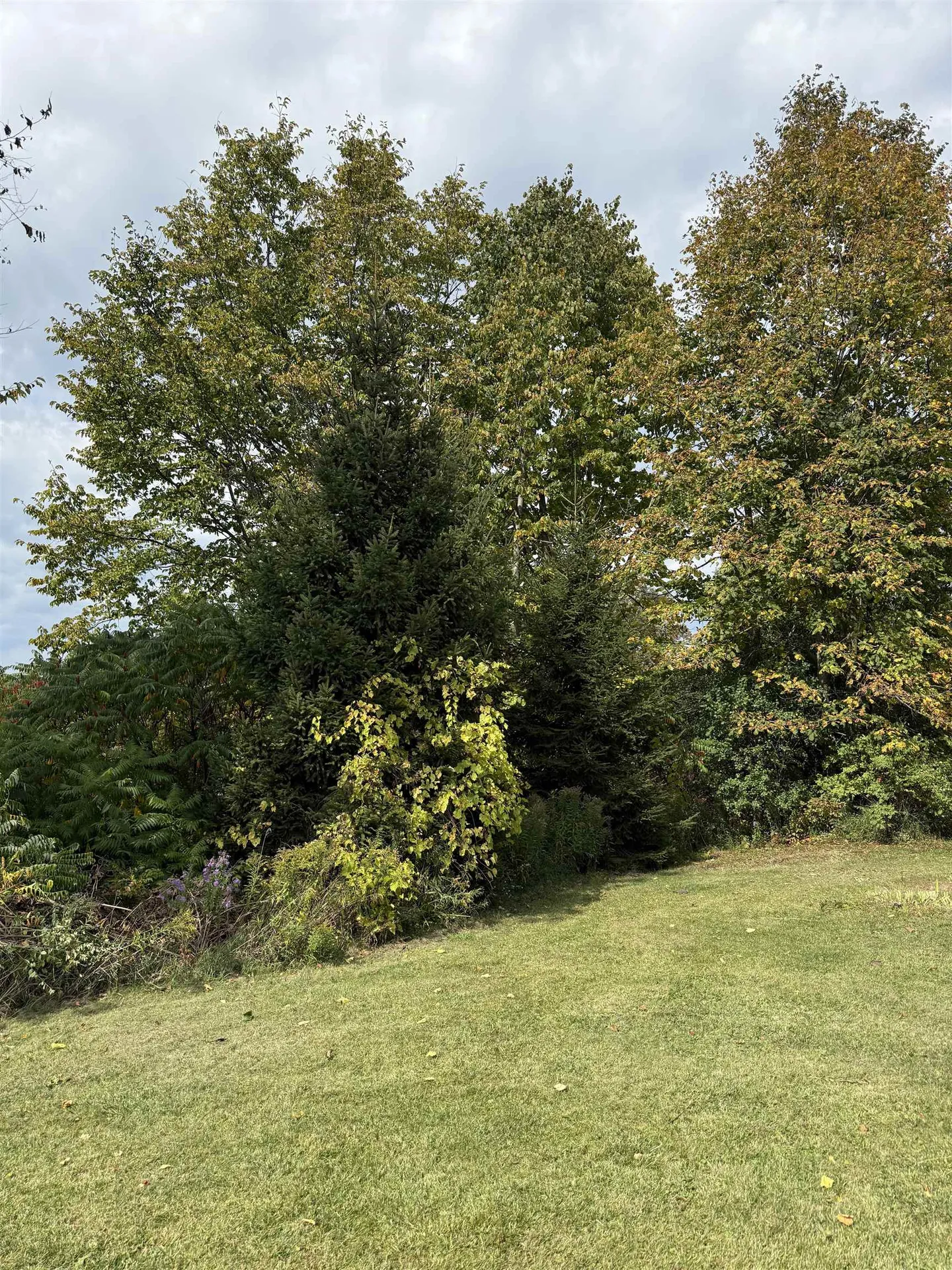 2852 Vermont Route 22a Addison VT 05491