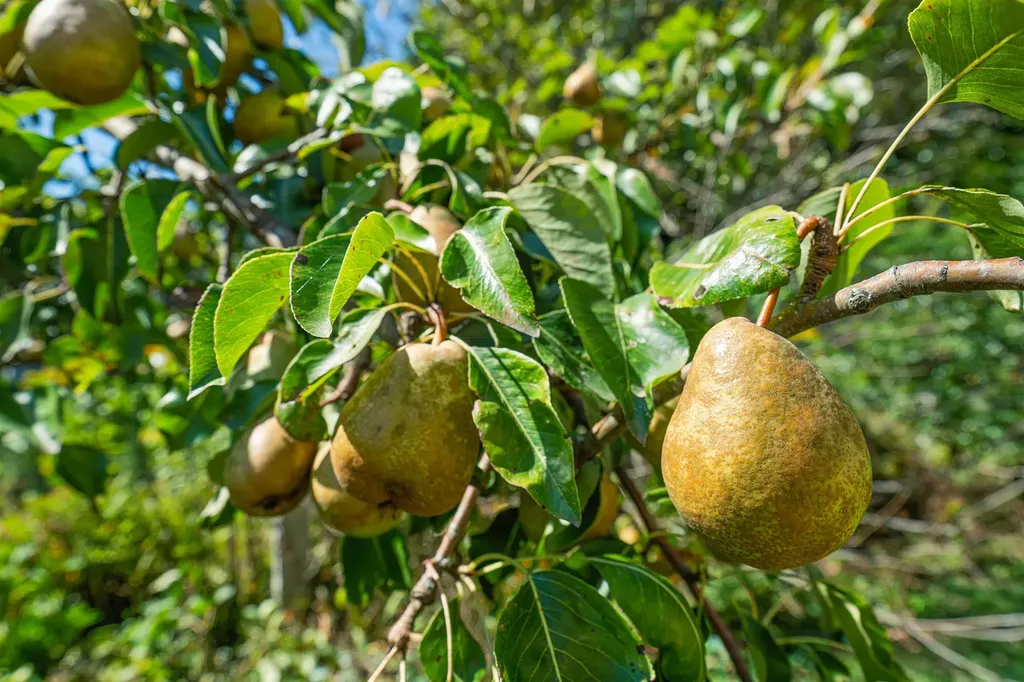 1612 Hartford Avenue Hartford VT 05001