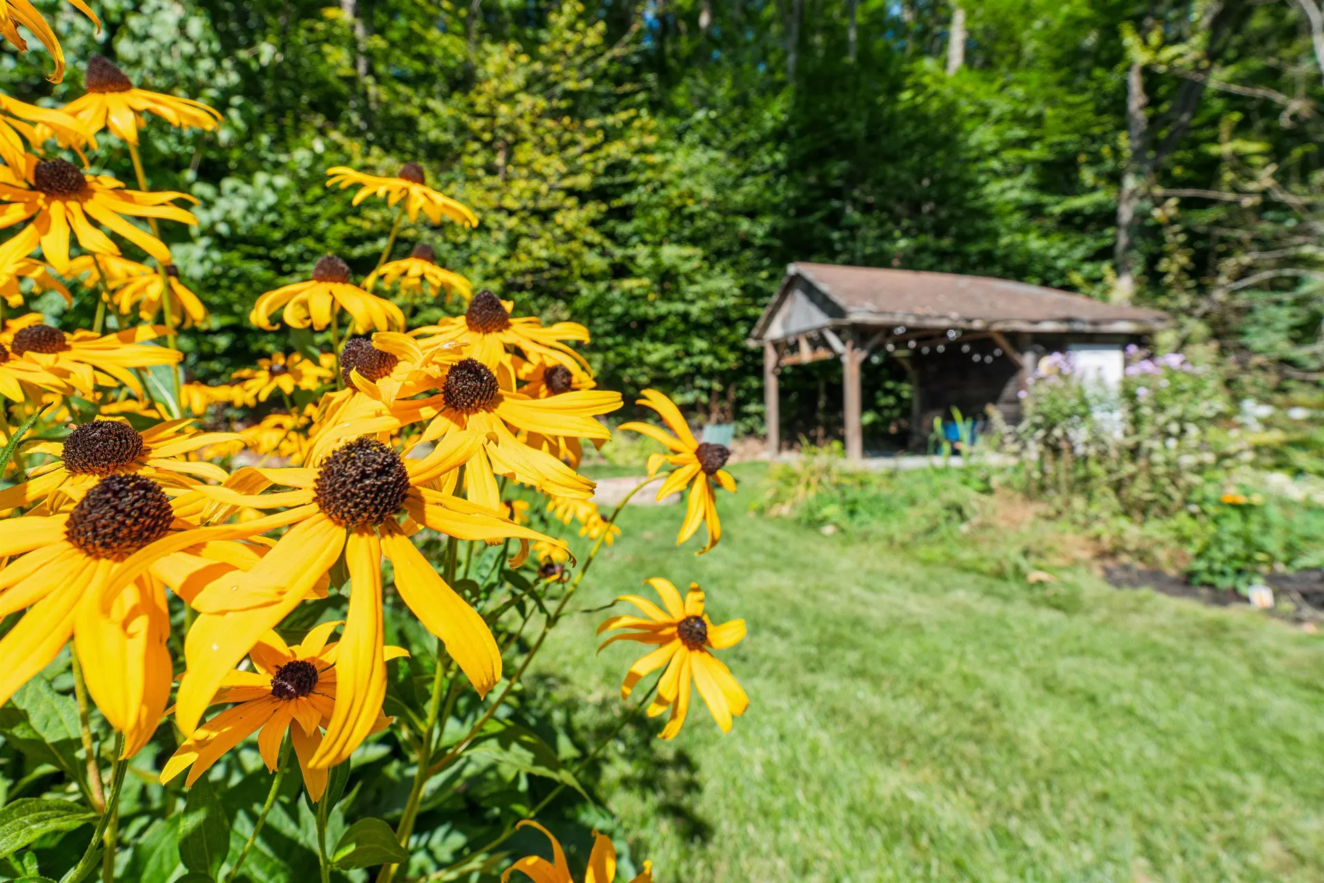 1612 Hartford Avenue Hartford VT 05001