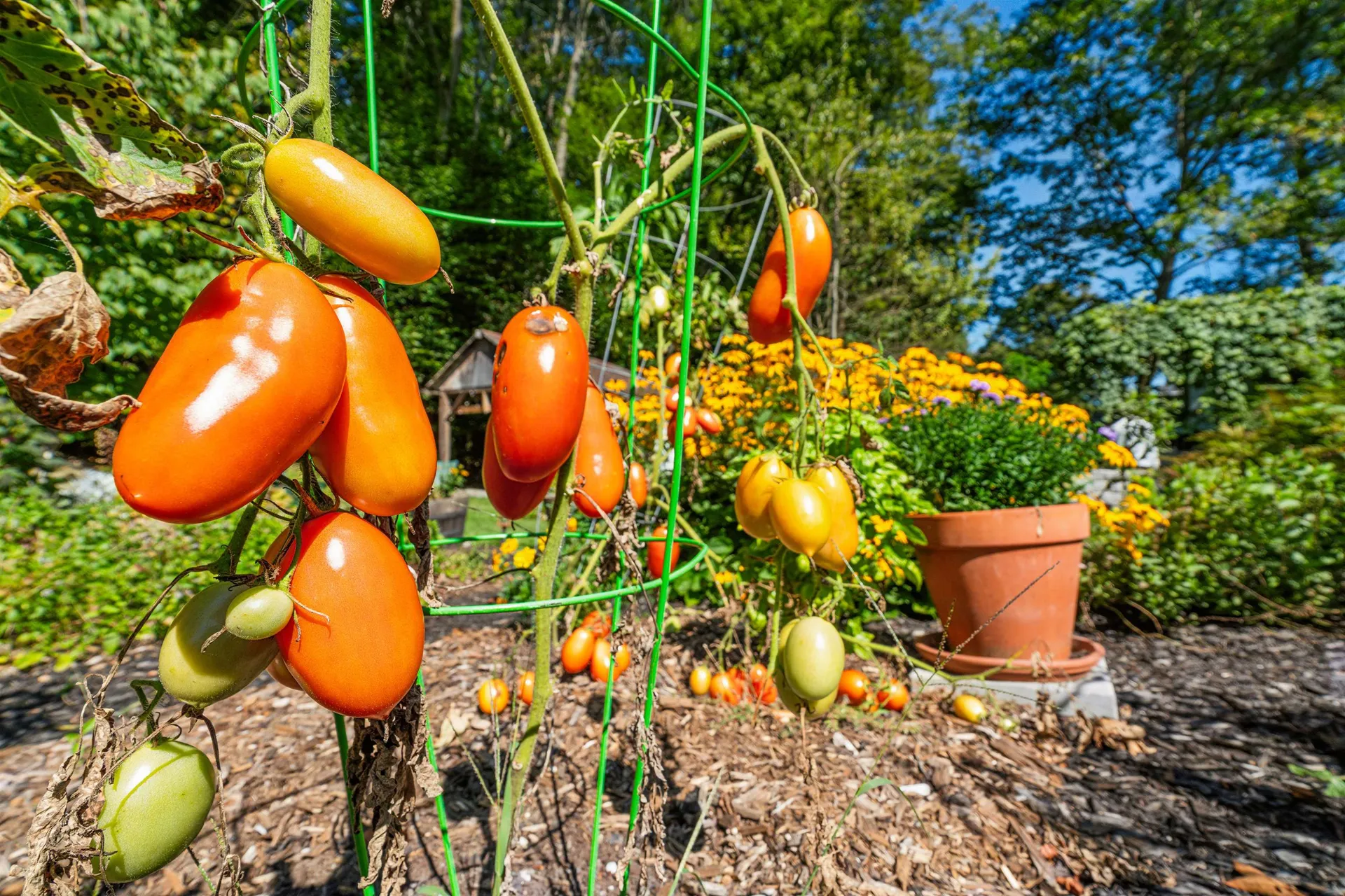 1612 Hartford Avenue Hartford VT 05001