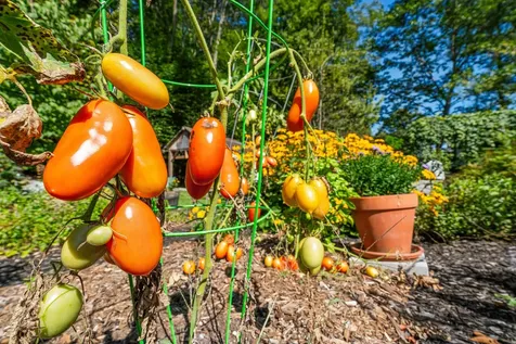 1612 Hartford Avenue Hartford VT 05001