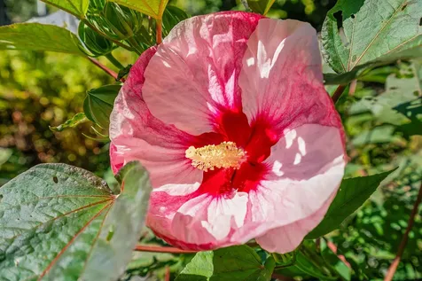 1612 Hartford Avenue Hartford VT 05001