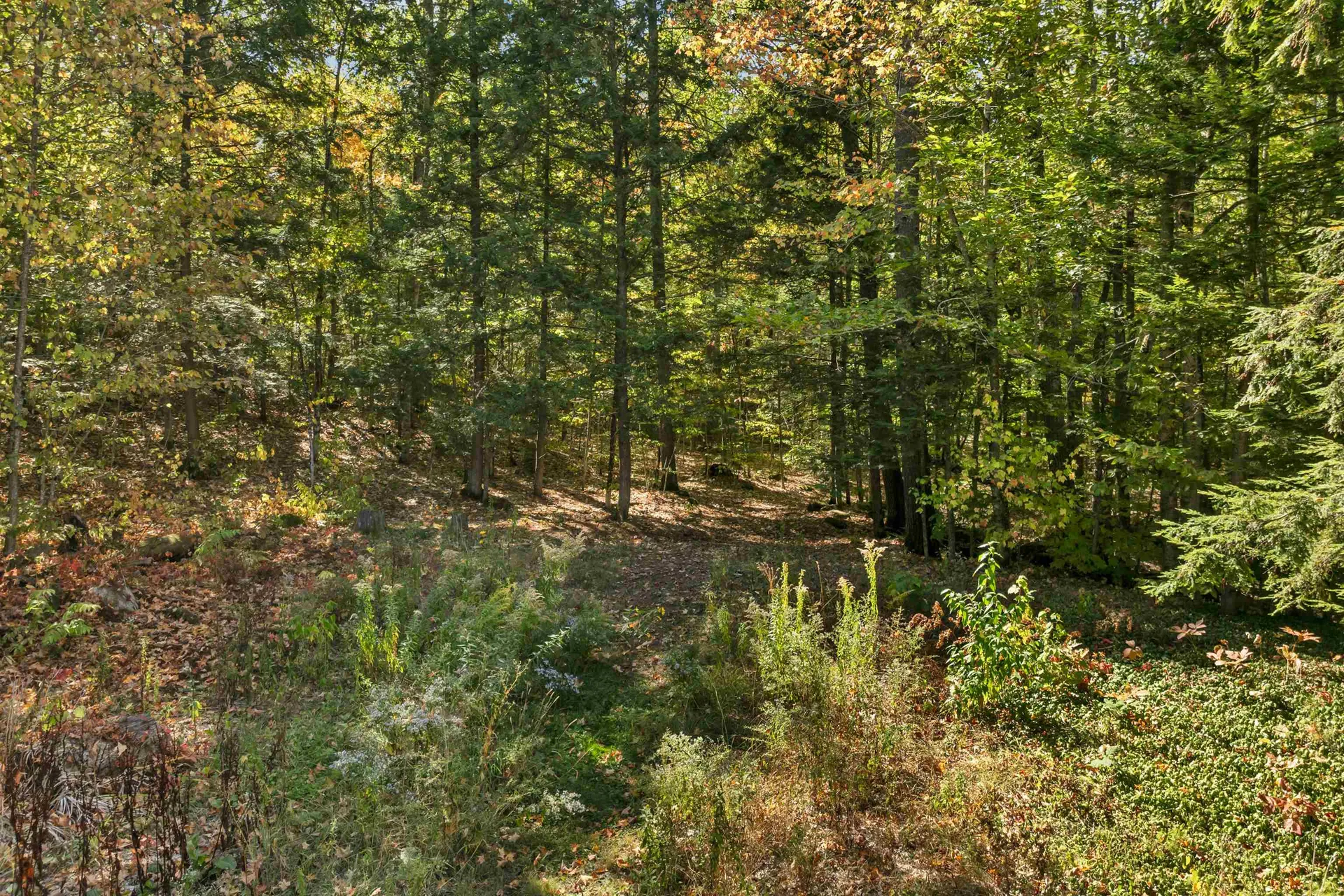 829 Bearcamp Highway Tamworth NH 03883