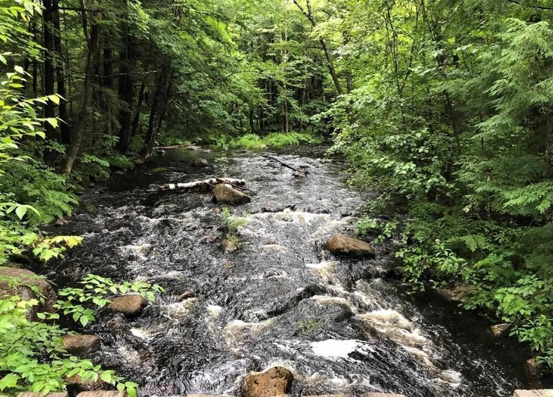 88 Chickville Road Ossipee NH 03814