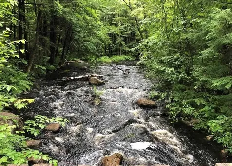 88 Chickville Road Ossipee NH 03814