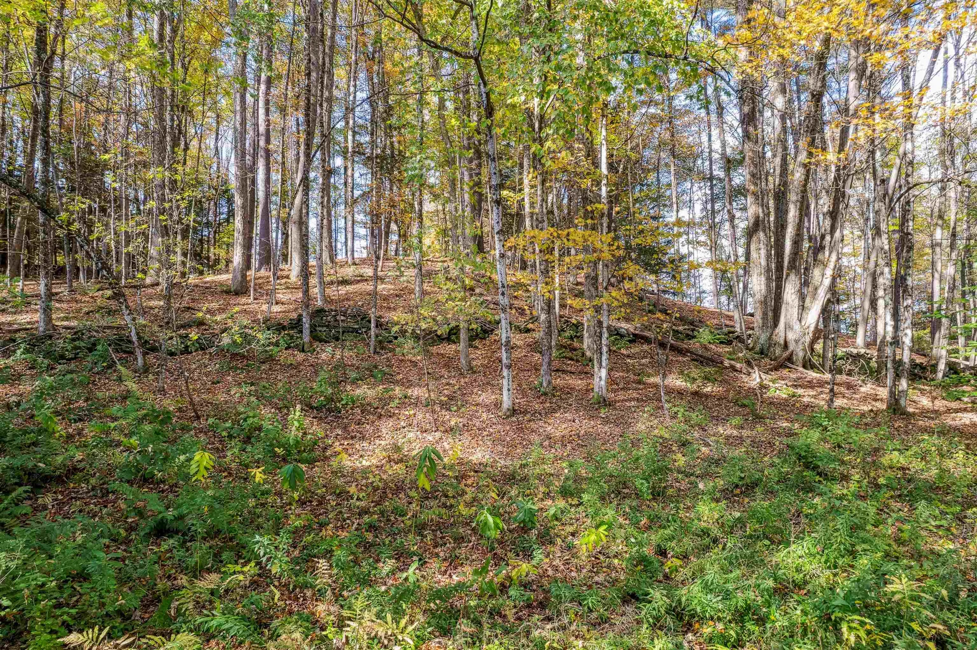 17 Linden Hill Woodstock VT 05091