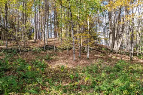 17 Linden Hill Woodstock VT 05091