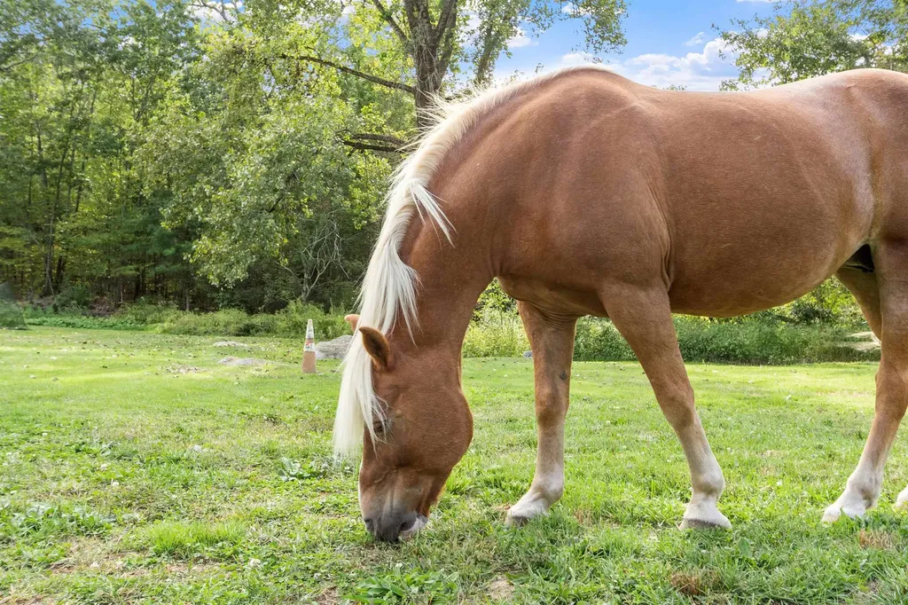 225 Lowell Street Carlisle MA 01741