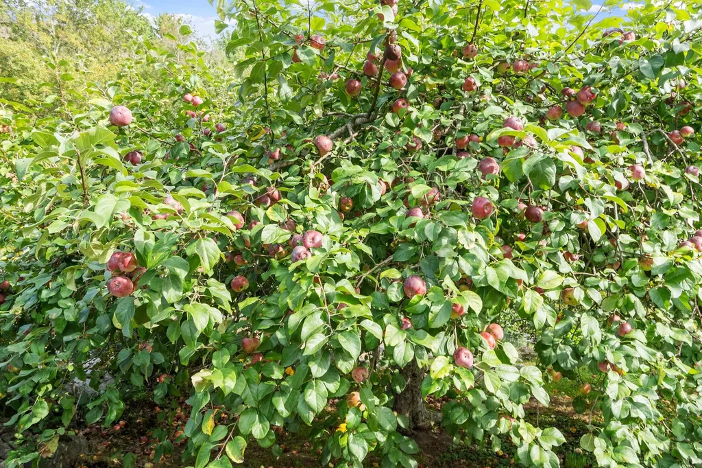 225 Lowell Street Carlisle MA 01741