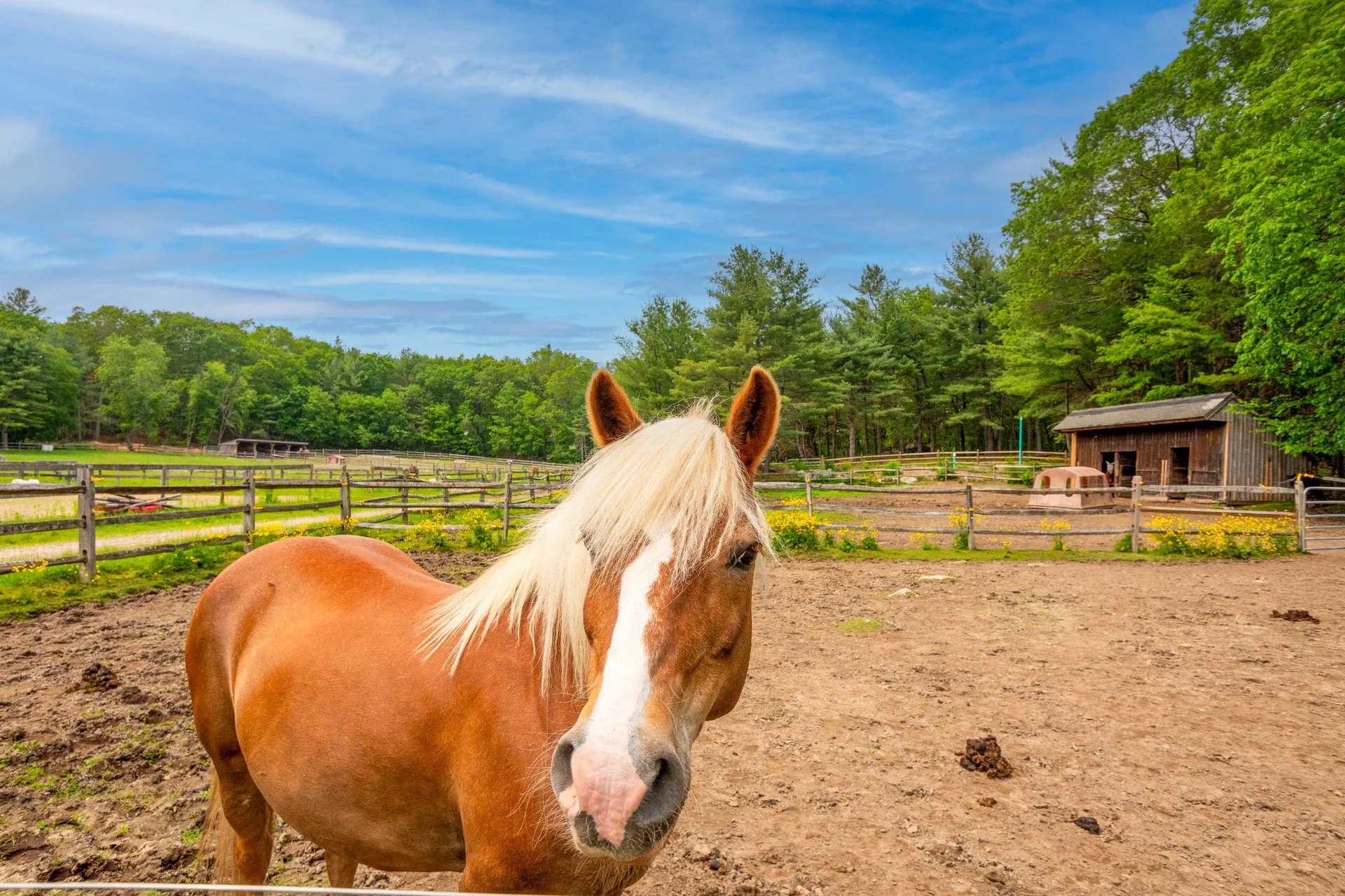 225 Lowell Street Carlisle MA 01741